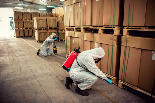 Trusted New Market, MD Pest Control Experts